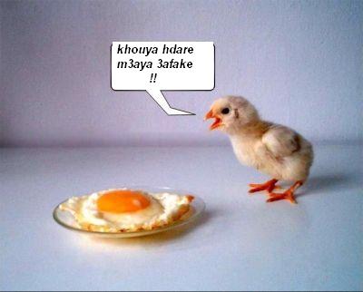 galihe wahde khouya ............hahahahaha
